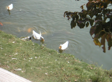 1004_13.jpg