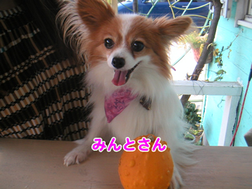 1004_4_2.jpg