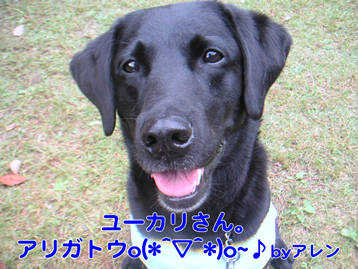 1007_5.jpg