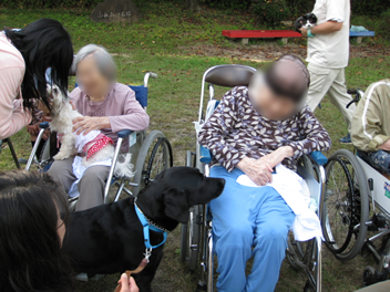 1009_11.jpg